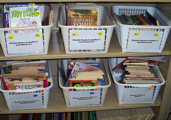 K-3 classroom library book bins
