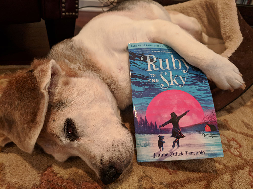 Rudy the dog relaxing on the living room floor with a book