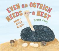 Even an Ostrich Needs a Nest: Where Birds Begin