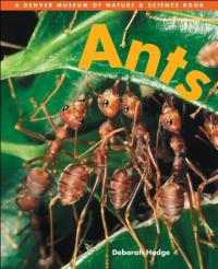 Ants (A Denver Museum of Nature & Science Book)