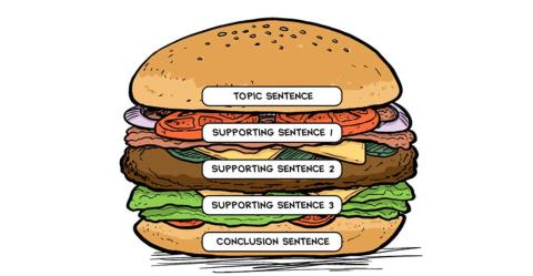 hamburger drawing that shows the different parts of a paragraph