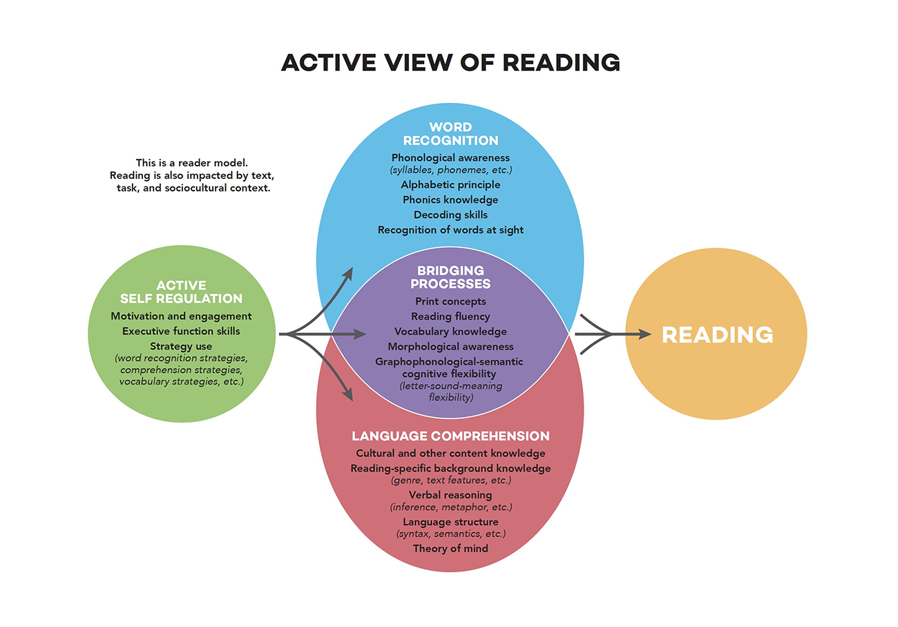 Diagram of the active view of reading