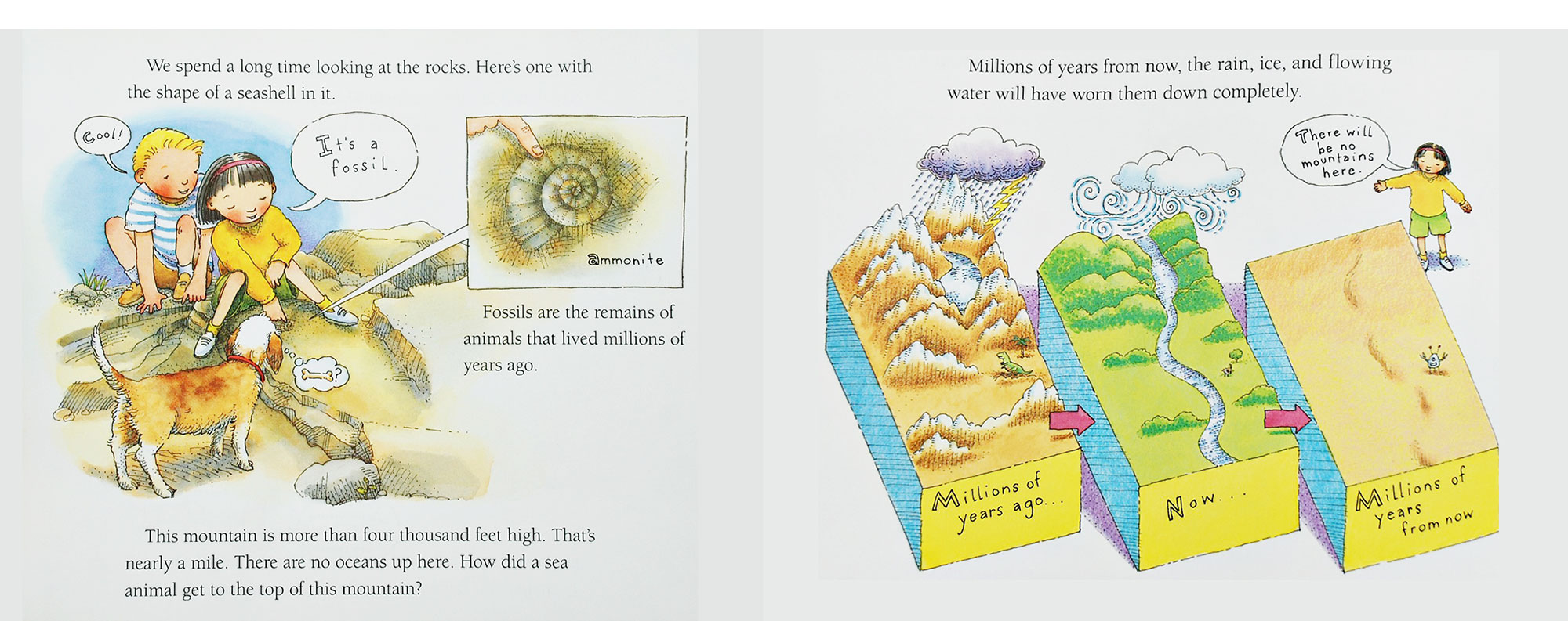 Illustrations of fossils and mountain formation