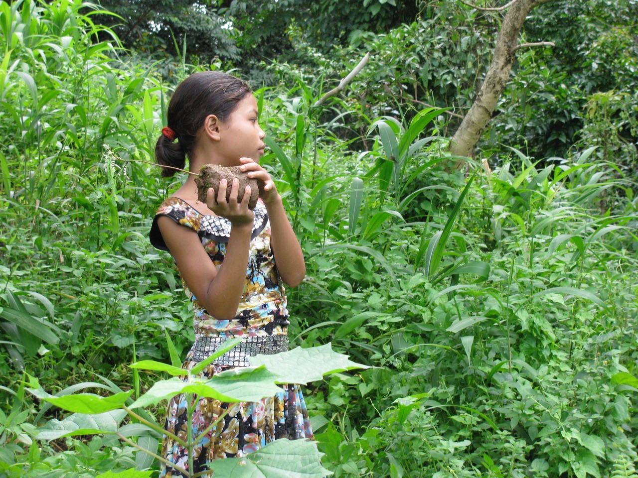 Young girl planting a tree