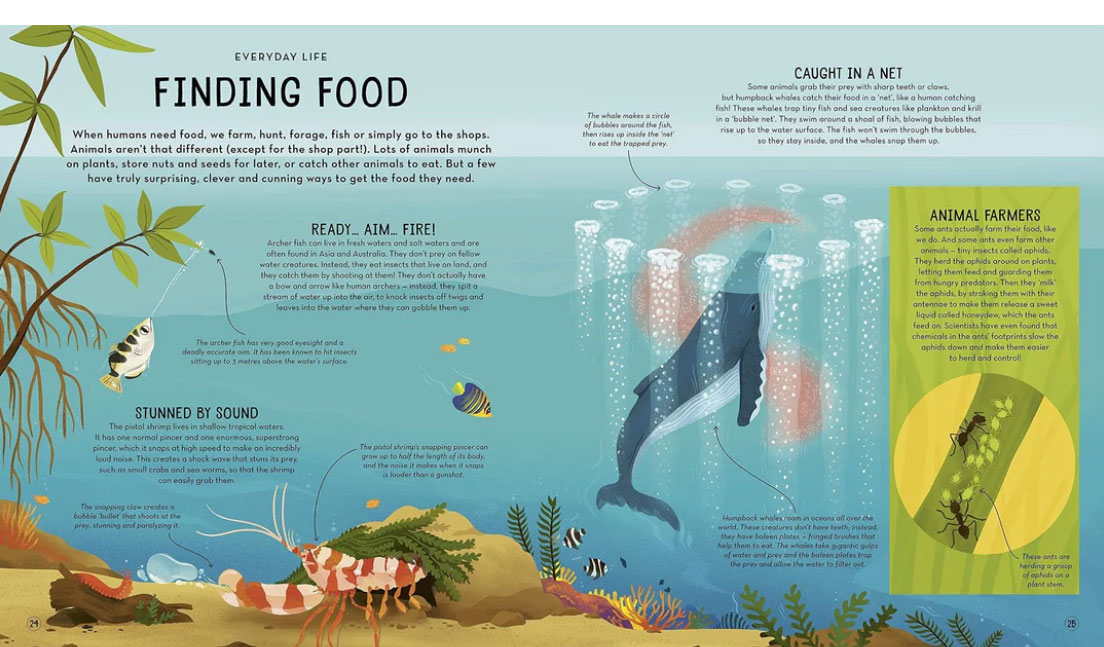 Illustration of undersea creatures