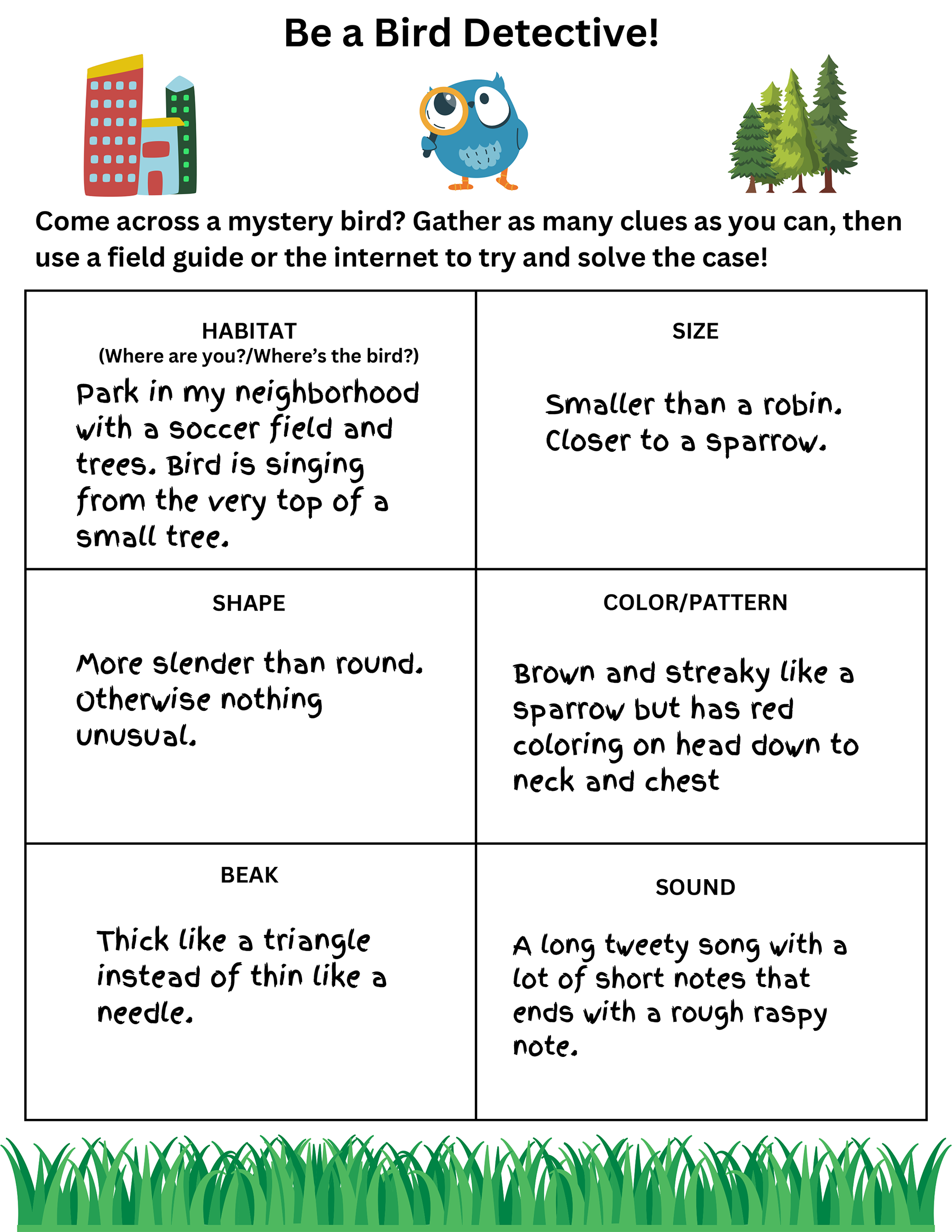 Bird detective worksheet sample