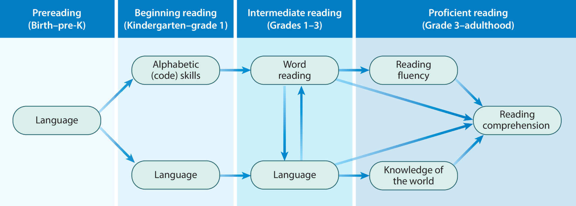 Reading Is Language model diagram