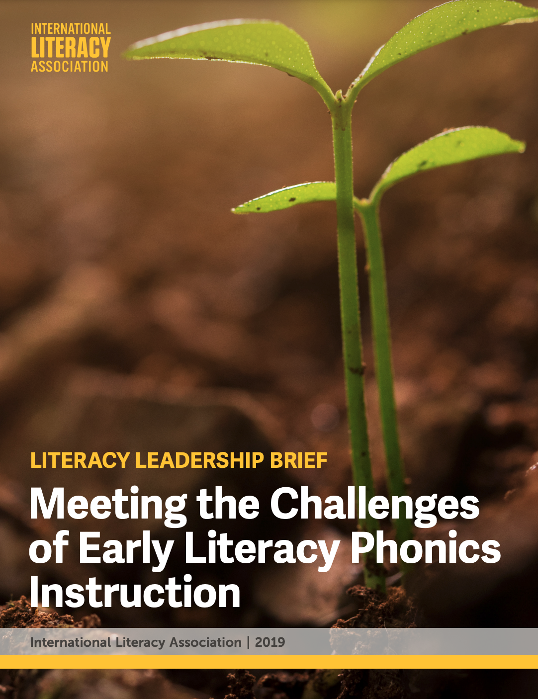 Meeting the Challenges of Early Literacy Phonics Instruction