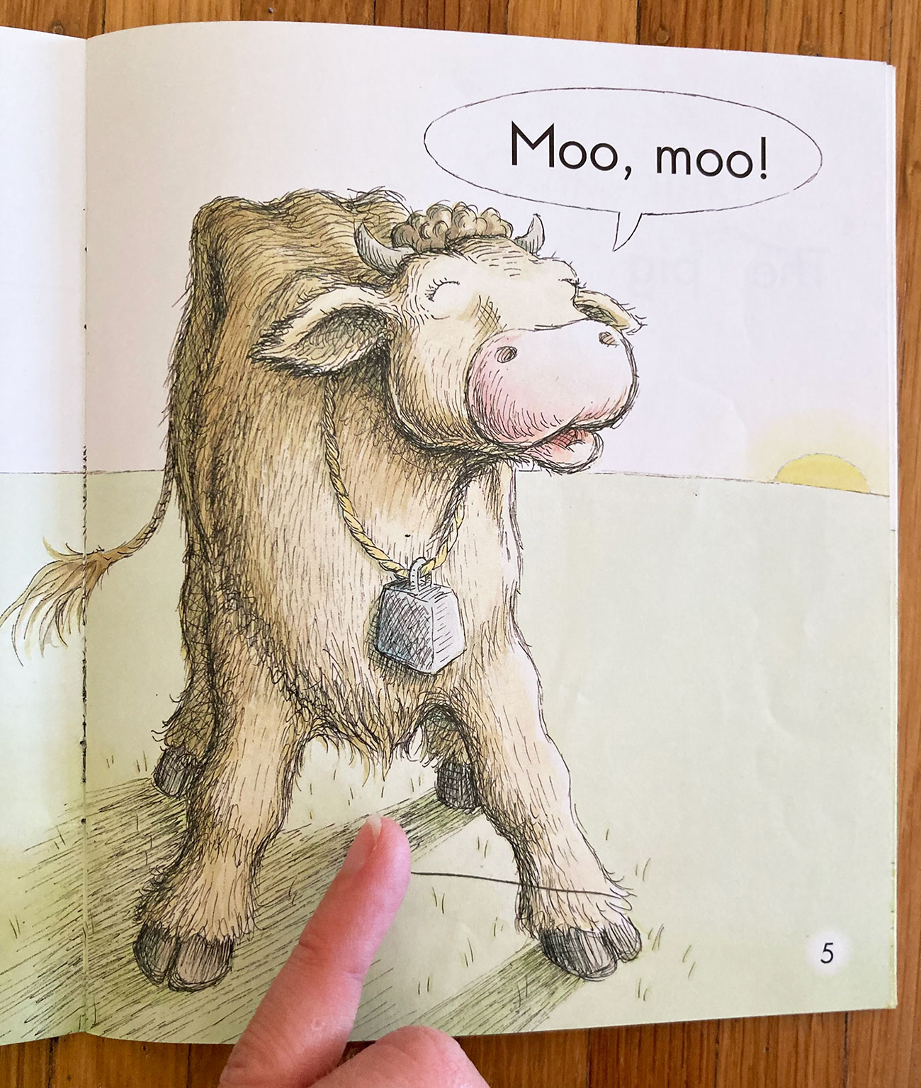 Close-up of a cow in a predictable text book