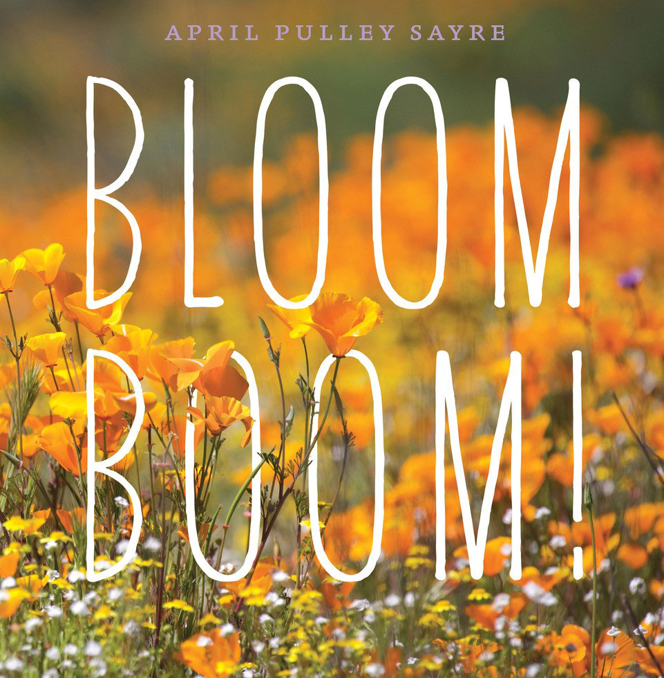 Bloom Boom book cover Bloom Boom book cover
