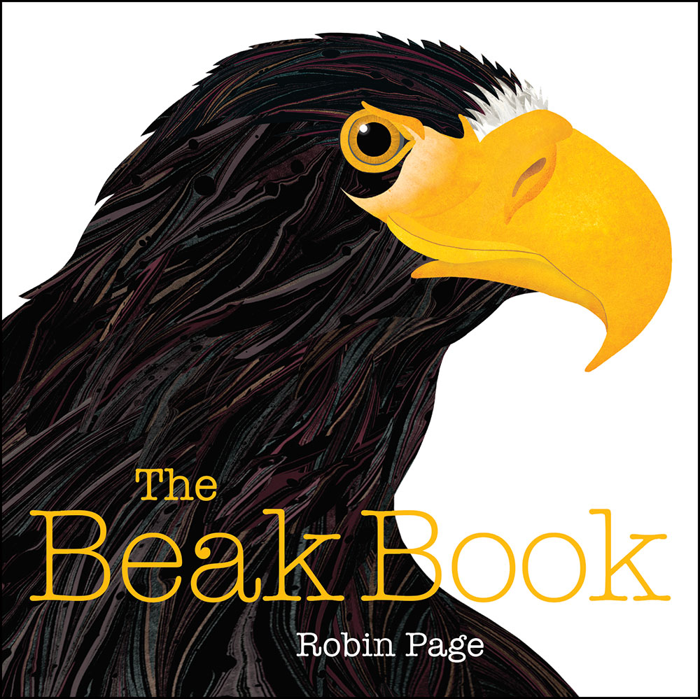 Two illustrations of the heads of Bald Eagles from The Beak Book