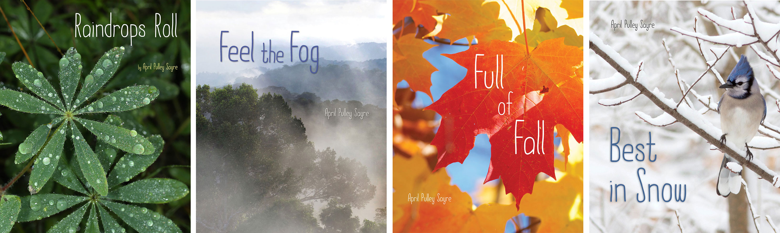 Weather Walks photo books by April Pulley Sayre