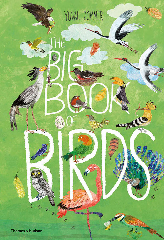 Illustrations of a variety of birds for cover of The Big Book of Birds