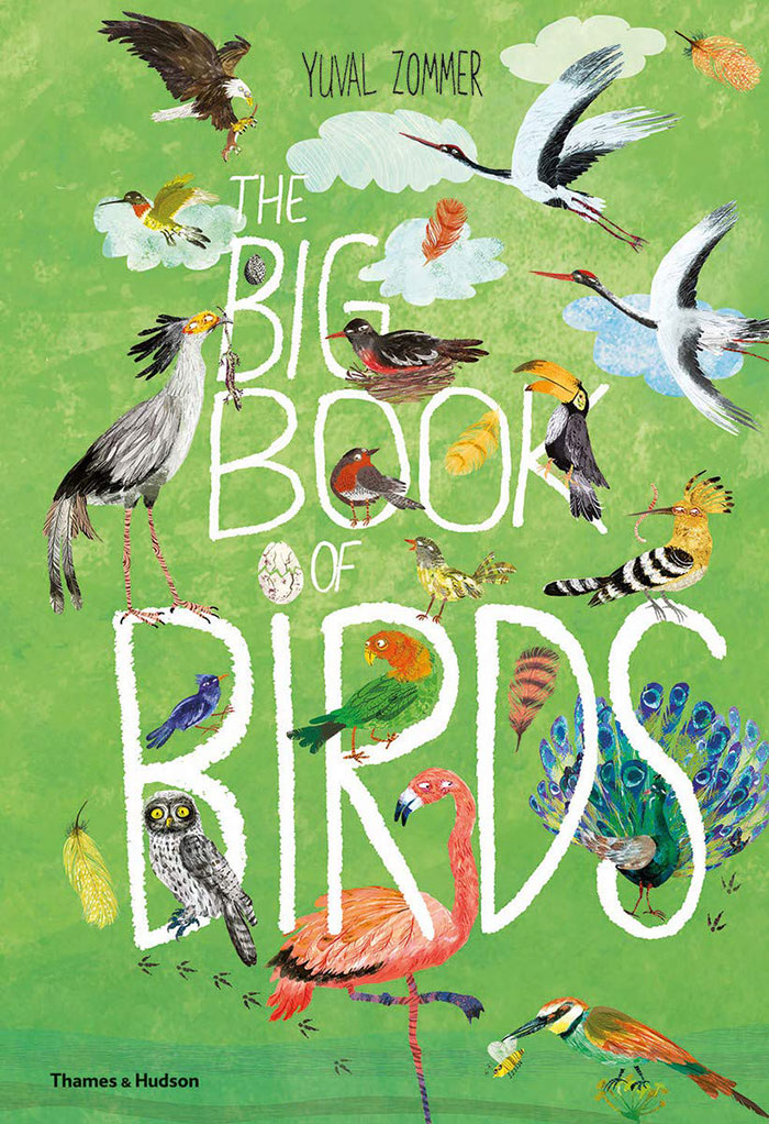 Illustrations of a variety of birds for cover of The Big Book of Birds Illustrations of a variety of birds for cover of The Big Book of Birds