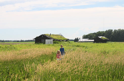 The Sod Prairie