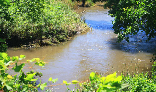 On the Banks of Plum Creek