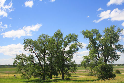 Ingalls' Homestead memorial site