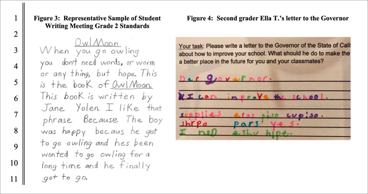 grade 2 writing sample