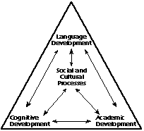 Social and Cultural Processes - Language Development - Cognitive Development  - Academic Development