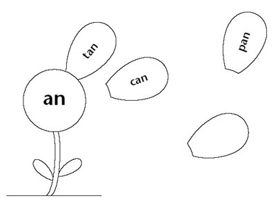 Word Family Flower illustration