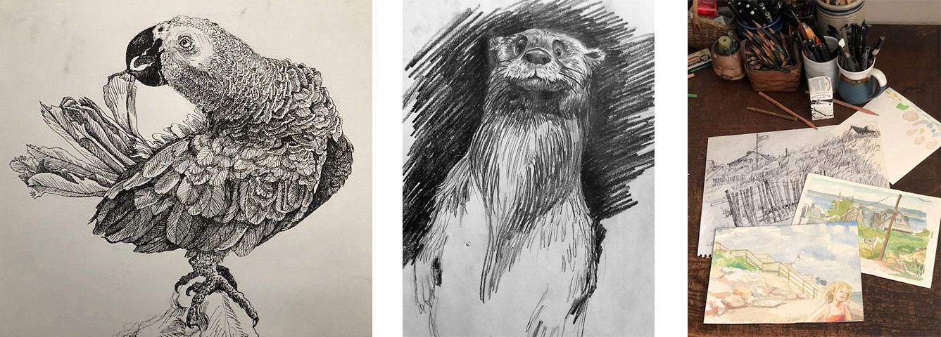 Detailed pencil drawings of a tropical bird and an otter and an open sketchbook with drawings