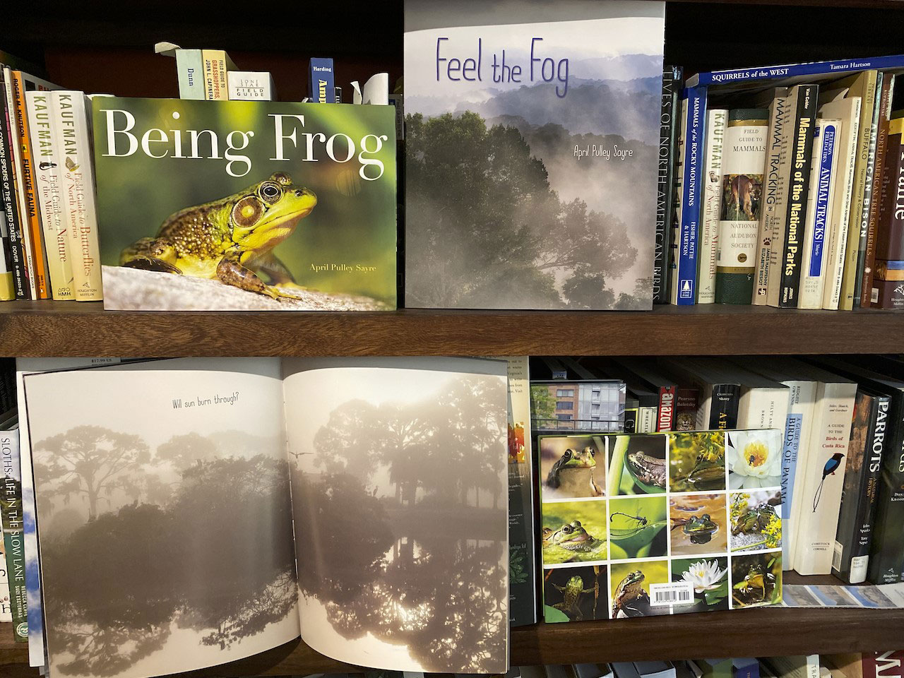 Bookshelf of nature picture books and field guides
