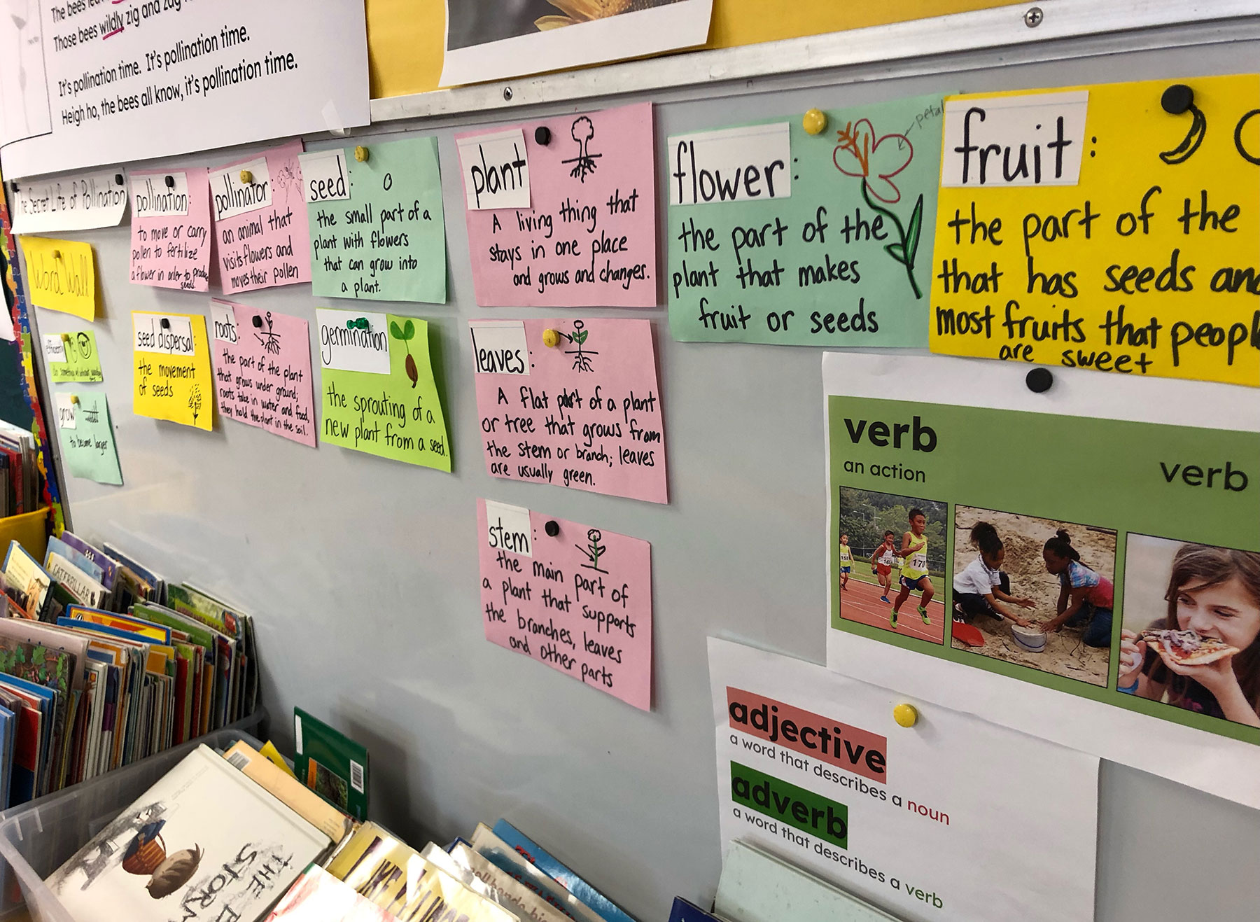 Display of vocabulary word wall about plants in elementary classroom