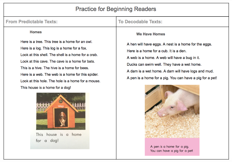 Practice for beginning readers from predicatable texts to decodable texts