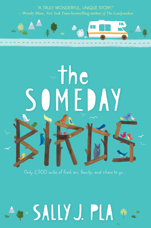 The Someday Birds cover