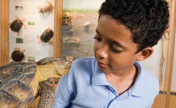 Young boy holding turtle in nature center
