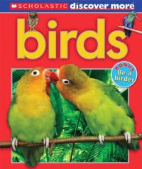 Discover More: Birds