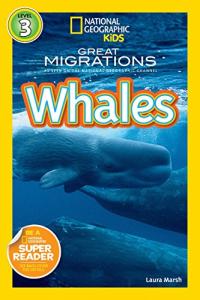 Great Migrations: Whales