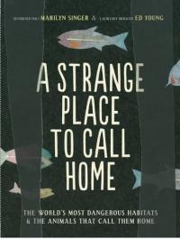 A Strange Place to Call Home