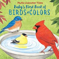 Baby’s First Book of Birds and Color 