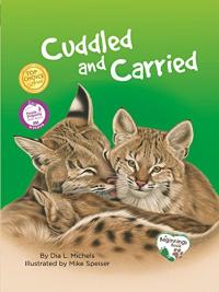 Cuddled and Carried / Consentido y cargado