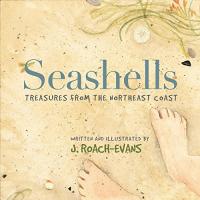 Seashells: Treasures from the Northeast Coast