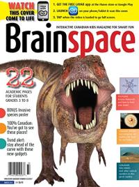 Brainspace