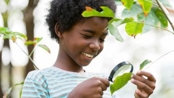 Young African American girl looking at tree leaves with magnifying glass