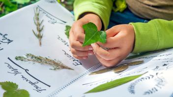 Child adding leaf to nature journal