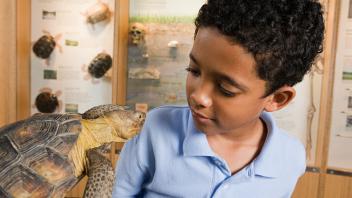 Young boy holding turtle in nature center