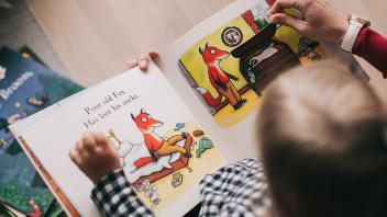Close up of adult reading picture book with young child
