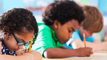 Teaching Writing to Diverse Student Populations