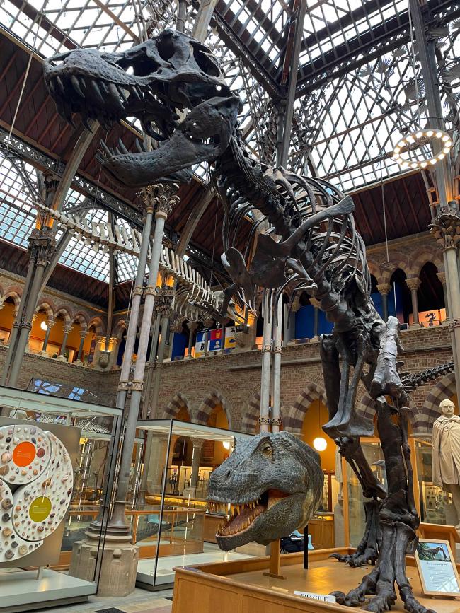 Oxford University Museum of Natural History