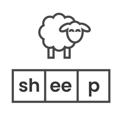 sound boxes for the word "sheep"